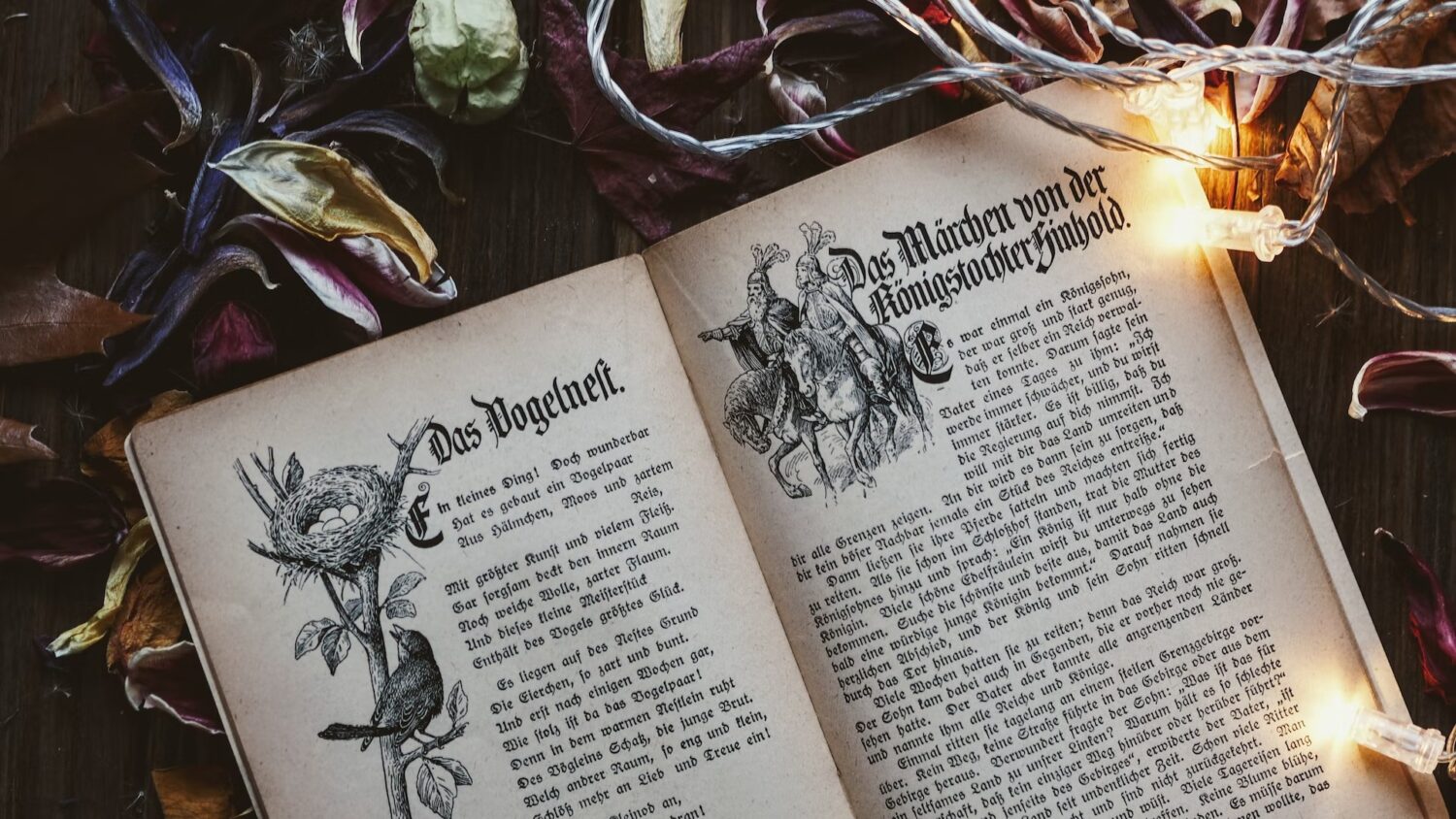 13 livros de fantasia que quero ler em 2023 web stories dropando ideias leticia wexell leticinios 04